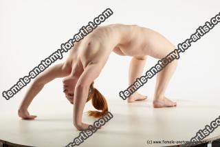 Various reference of Heda